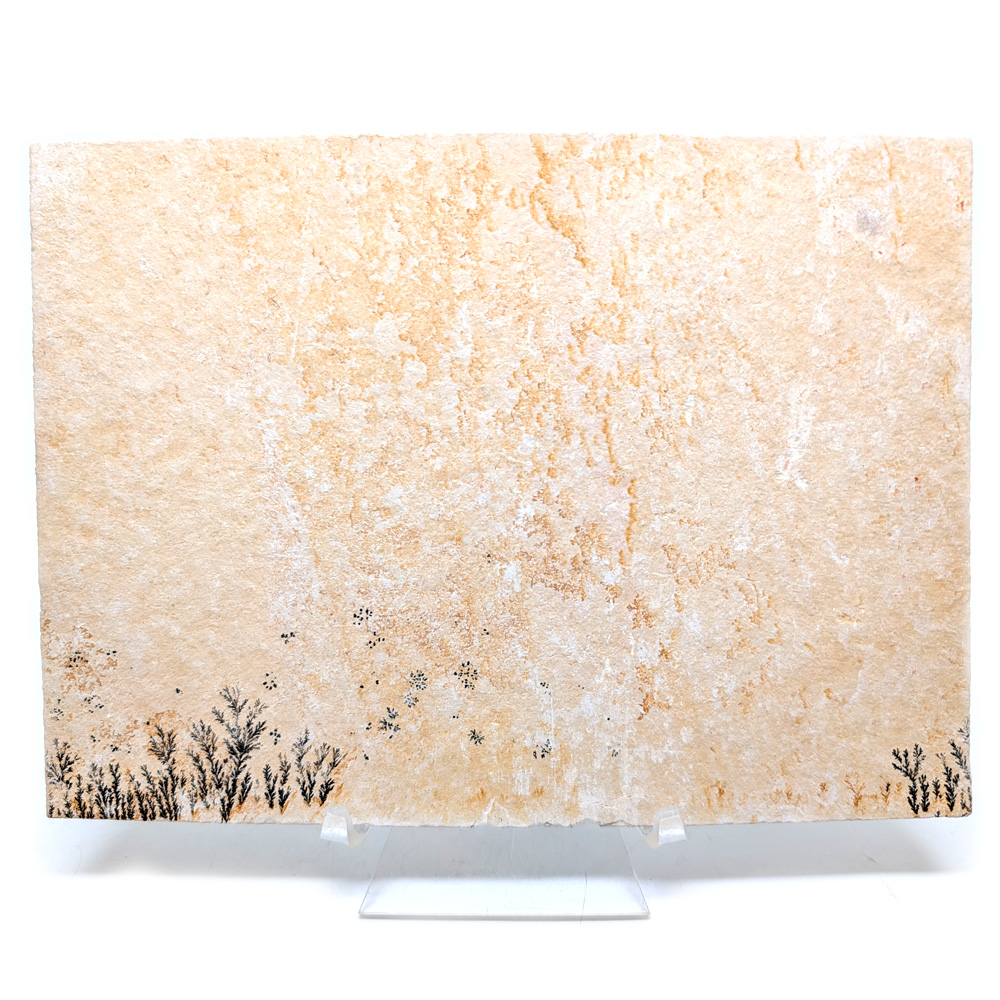 Dendrite Plaque, Large Dendrite Plaque, Large - Image 3