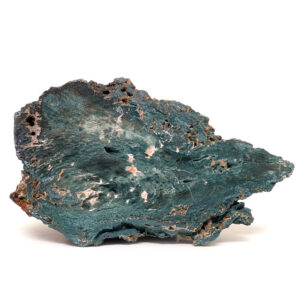 Hampton Butte Petrified Wood from Oregon