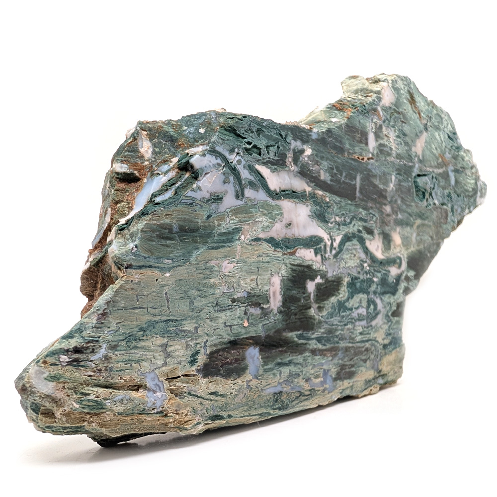 Hampton Butte Petrified Wood Slab from Oregon Hampton Butte Petrified Wood Slab from Oregon - Image 2