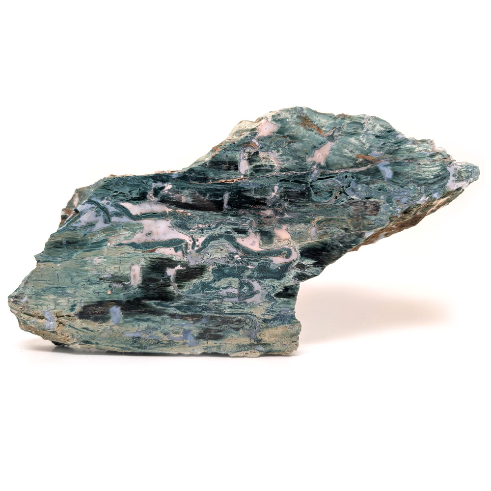 Hampton Butte Petrified Wood Slab from Oregon Hampton Butte Petrified Wood Slab from Oregon