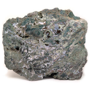 Hampton Butte Petrified Wood Stand-up from Oregon, Large