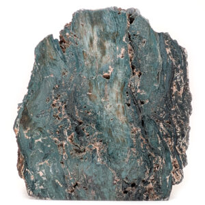 Hampton Butte Petrified Wood Stand-up from Oregon
