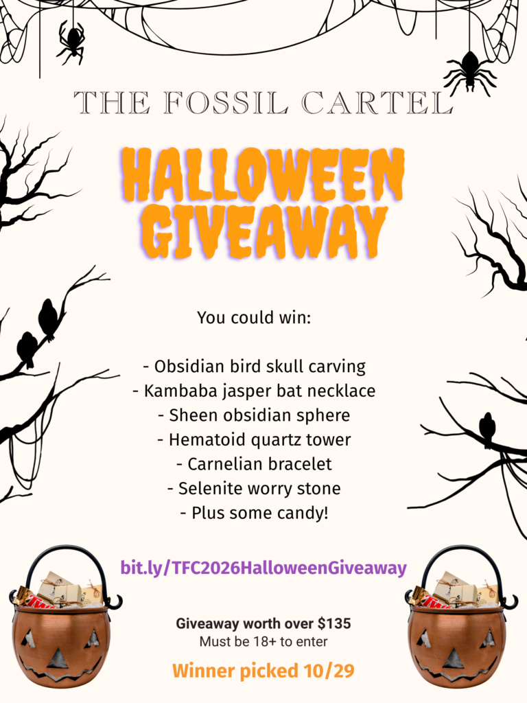 Halloween Giveaway Poster