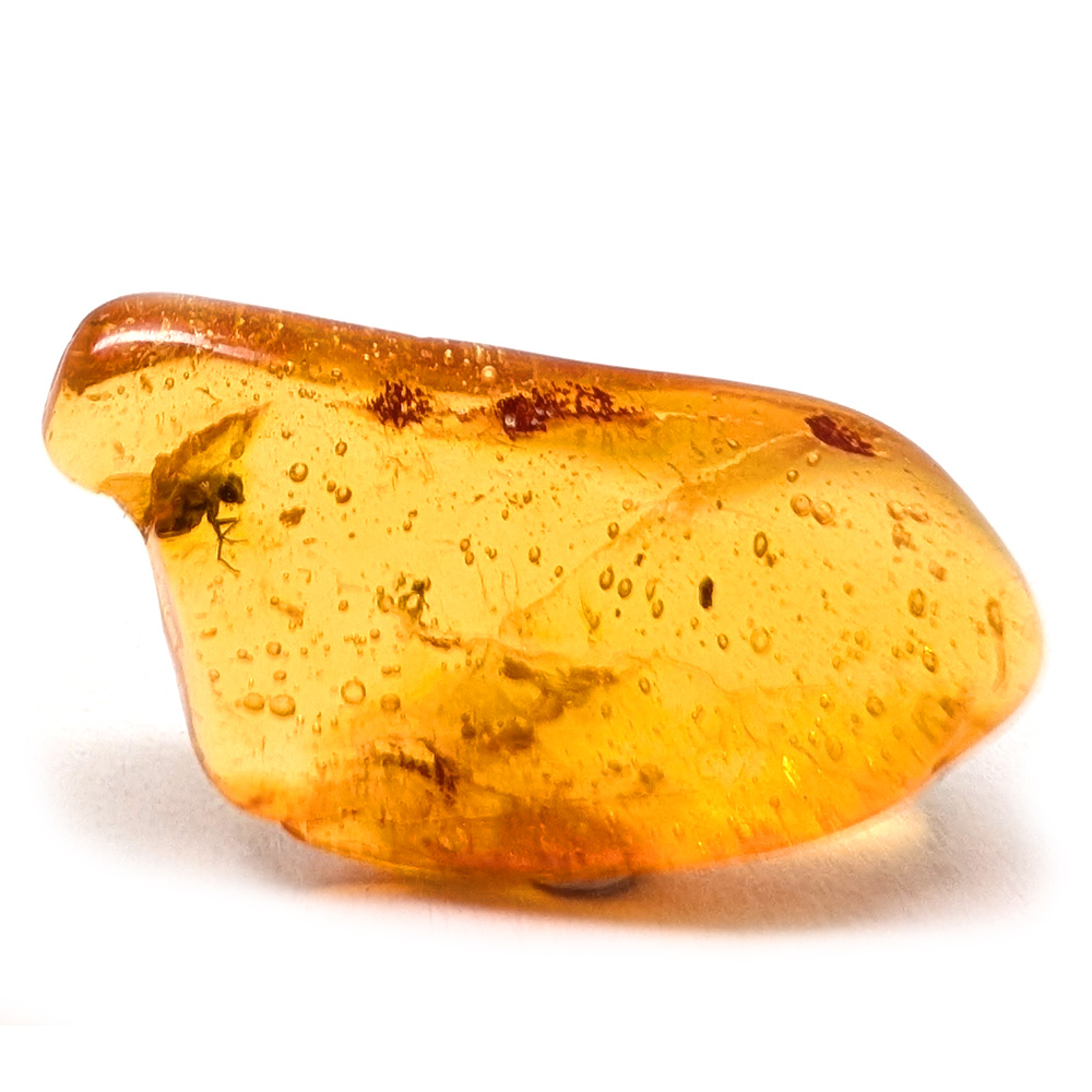 Amber with Insect Amber with Insect - Image 2