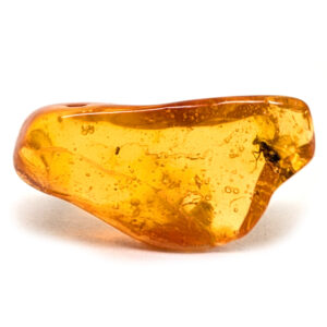 Amber with Insect