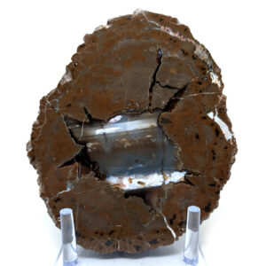 Oregon Thunderegg, Large Oregon Thunderegg, Large
